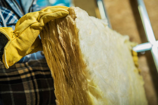 Best Insulation Maintenance and Repair in Fayetteville, AL