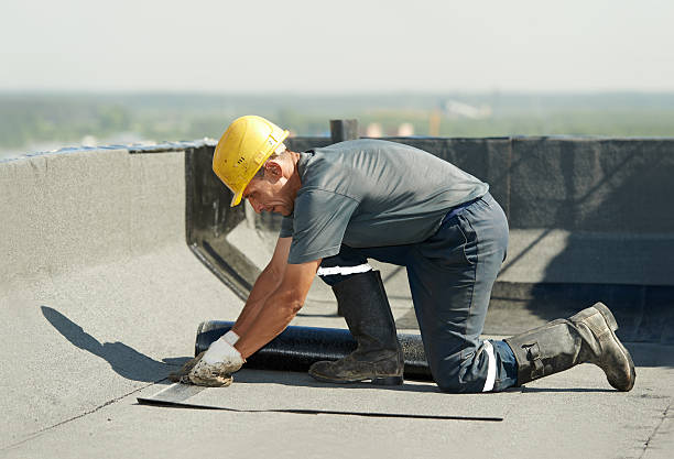 Best Residential Insulation in Fayetteville, AL