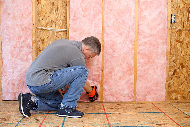 Best Specialized Insulation Services in Fayetteville, AL